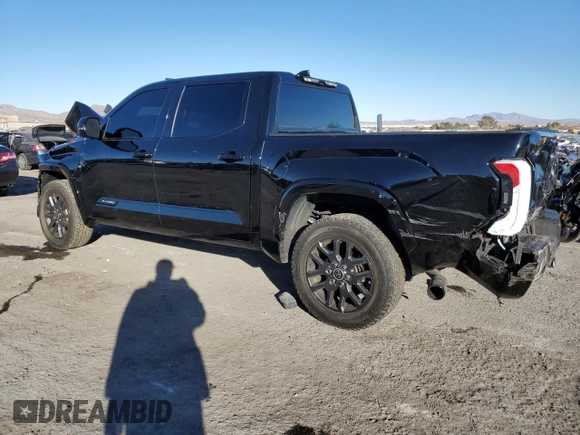 2023 Toyota Tundra Platinum with VIN 5TFNA5DB3PX084778, listed as a Copart auction lot 87190314 with 19,051 mi miles and Salvage title. Bid and sale history available at DreamBid. Image 2.