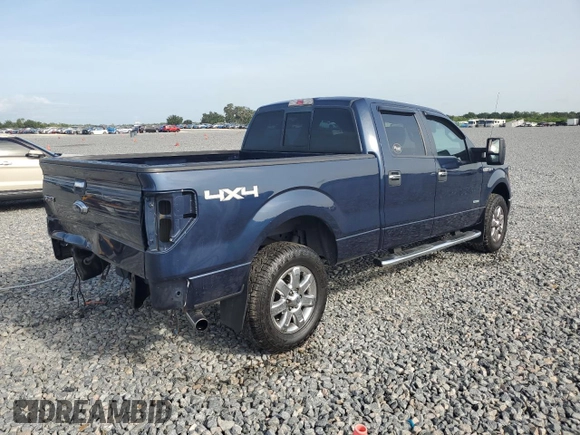 2013 Ford F-150 XL with VIN 1FTFW1ET5DFC96413, listed as a Copart auction lot 59771765 with 116,078 mi miles and Salvage title. Bid and sale history available at DreamBid. Image 3.