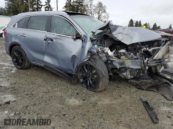 2020 Kia Sorento EX V6 with VIN 5XYPH4A5XLG702639, listed as a Copart auction lot 50076495 with 0 mi miles and Salvage Title. Bid and sale history available at carsss.com. Image 4.