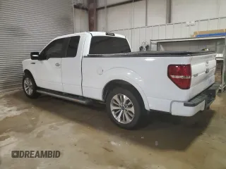 2010 Ford F-150 XL with VIN 1FTFX1CV7AKB71384, listed as a Copart auction lot 82047394 with 149,606 mi miles and Salvage Title. Bid and sale history available at carsss.com. Image 2.