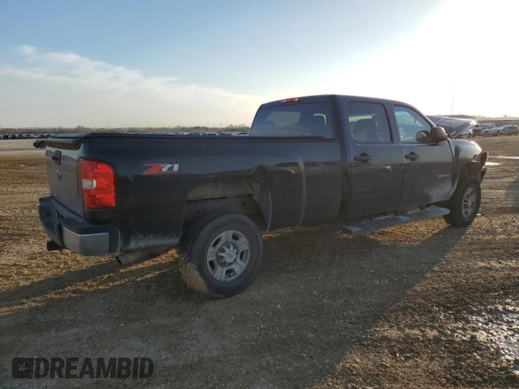 2010 Chevrolet Silverado 1500 with VIN 1GC4C0BG4AF138349, listed as a Copart auction lot 44080125 with 125,214 mi miles and Salvage Title. Bid and sale history available at DreamBid. Image 3.