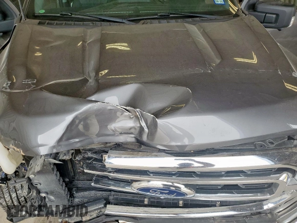 2021 Ford F-150 XL with VIN 1FTEW1CP1MFC04764, listed as a Copart auction lot 59572975 with 61,576 mi miles and Salvage title. Bid and sale history available at DreamBid. Image 11.