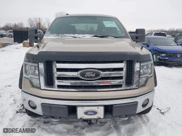 2009 Ford F-150 XL with VIN 1FTPW14VX9FA21926, listed as a IAAI auction lot 41345691 with 251,446 mi miles. Bid and sale history available at carsss.com. Image 12.
