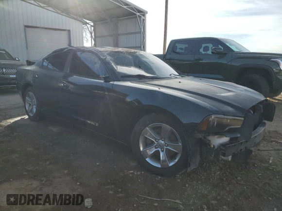 2011 Dodge Charger Rallye Plus with VIN 2B3CL3CG5BH545125, listed as a Copart auction lot 78216484 with 0 mi miles and Non Repairable. Bid and sale history available at carsss.com. Image 4.