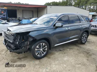 2020 Hyundai Palisade SEL z VIN KM8R2DHE1LU106300, wystawiony jako Copart lot #50704905 z przebiegiem 53 621 mil mil oraz Szkody całkowita. Historia ofert i sprzedaży dostępna na DreamBid. Obrazek 1.