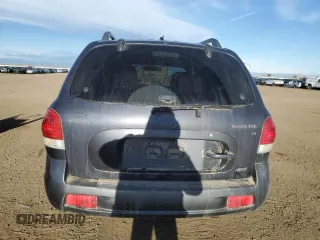 2005 Hyundai Santa Fe GLS with VIN KM8SC73D95U989158, listed as a Copart auction lot 49439485 with 151,332 mi miles and Salvage Title. Bid and sale history available at carsss.com. Image 6.
