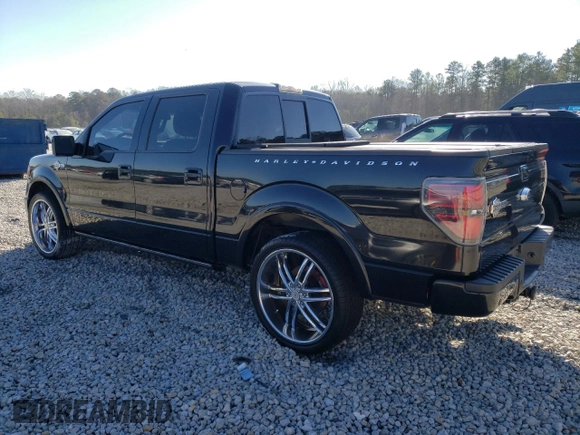 2010 Ford F-150 with VIN 1FTEW1CV6AFA09527, listed as a Copart auction lot 41410035 with 191,889 mi miles and Salvage title. Bid and sale history available at DreamBid. Image 2.