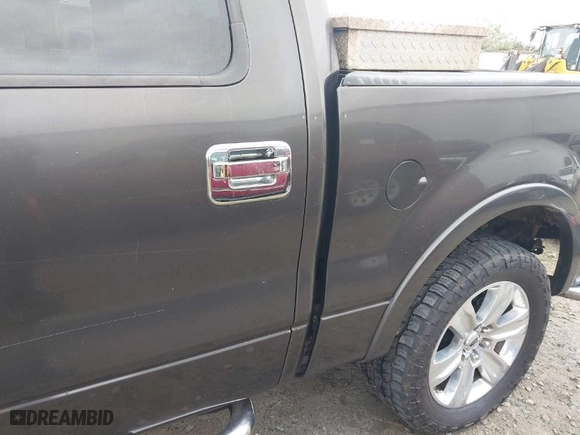 2005 Ford F-150 XLT with VIN 1FTPW12565FA57173, listed as a IAAI auction lot 41872194 with 286,812 mi miles. Bid and sale history available at carsss.com. Image 12.