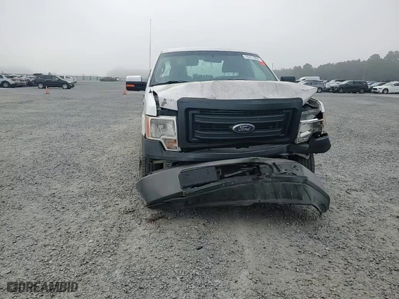 2014 Ford F-150 XL with VIN 1FTMF1CM7EKD61547, listed as a Copart auction lot 74311804 with 175,203 mi miles and Salvage Title. Bid and sale history available at carsss.com. Image 11.