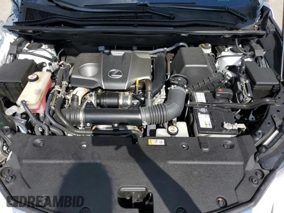 2021 Lexus NX with VIN JTJDARBZ2M5028774, listed as a Copart auction lot 53320185 with 23,335 mi miles and Non Repairable. Bid and sale history available at carsss.com. Image 12.