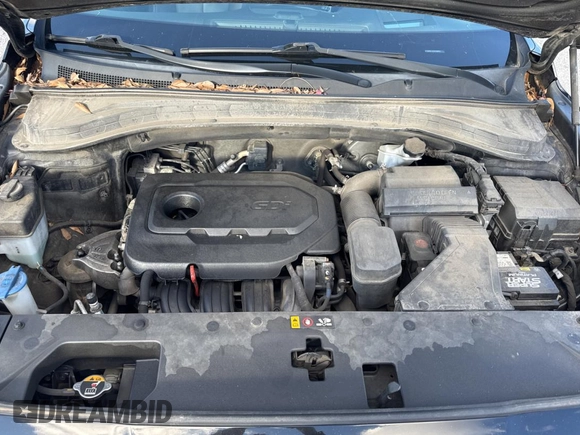 2019 Hyundai Santa Fe Ultimate with VIN 5NMS5CAD9KH008906, listed as a Copart auction lot 41676125 with 176,926 mi miles and Clean Title. Bid and sale history available at carsss.com. Image 7.
