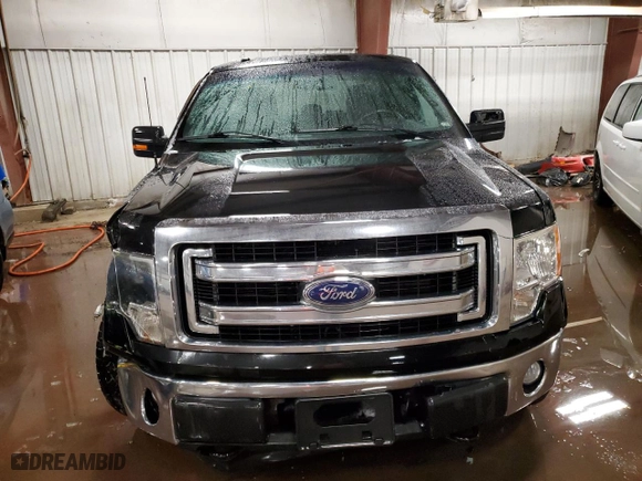 2014 Ford F-150 XL with VIN 1FTFX1EF9EFA53051, listed as a Copart auction lot 44805735 with 123,167 mi miles and Clean Title. Bid and sale history available at carsss.com. Image 5.