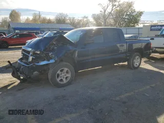 2005 Dodge Dakota SLT with VIN 1D7HE48K85S165264, listed as a Copart auction lot 81218484 with Not Provided miles and Salvage Title. Bid and sale history available at DreamBid. Image 1.