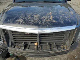 2019 Cadillac Escalade Luxury with VIN 1GYS4BKJ5KR391959, listed as a Copart auction lot 73730244 with 0 mi miles and Salvage Title. Bid and sale history available at carsss.com. Image 13.