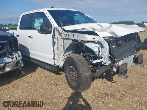2019 Ford F-150 XL with VIN 1FTEW1EP7KFC62954, listed as a IAAI auction lot 27603731 with 14 mi miles and . Bid and sale history available at DreamBid. Image 1.