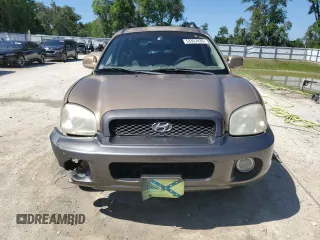 2004 Hyundai Santa Fe GLS z VIN KM8SC13E14U618502, wystawiony jako Copart lot #53357435 z przebiegiem 160 672 mil mil oraz Szkoda całkowita • Salvage title. Historia ofert i sprzedaży dostępna na DreamBid. Obrazek 5.