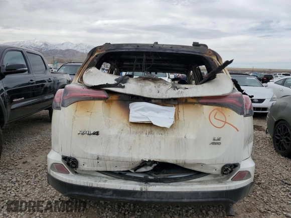 2018 Toyota RAV4 LE with VIN JTMBFREV1JJ718166, listed as a Copart auction lot 43698905 with Not Provided miles and Non Repairable. Bid and sale history available at DreamBid. Image 6.