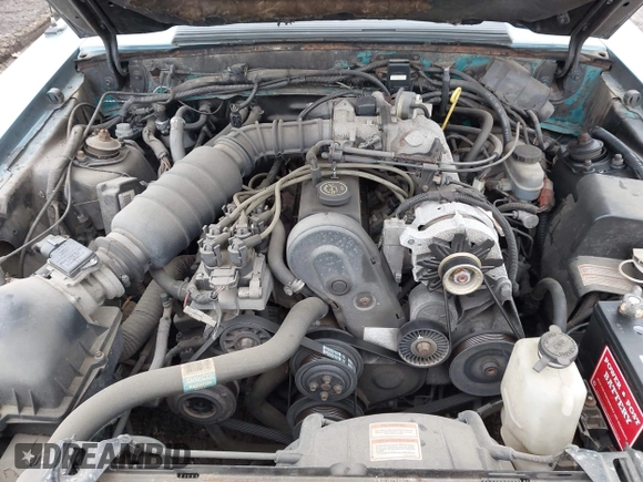 1993 Ford Mustang с VIN 1FACP44M3PF212921, выставлен на аукционе IAAI как лот 42337259 с пробегом 11 452 миль миль и . История ставок и продаж доступна на DreamBid. Изображение 10.