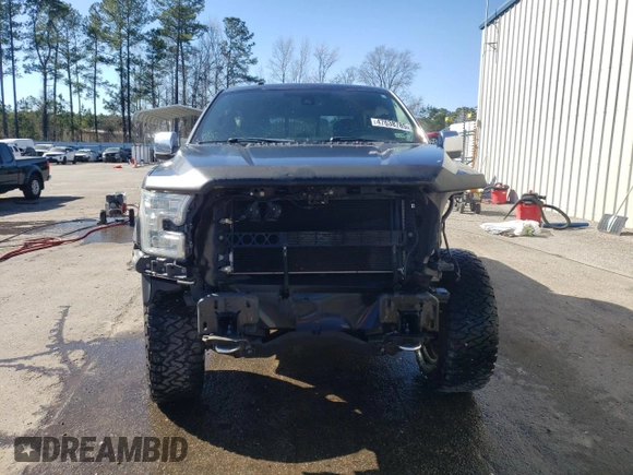 2016 Ford F-150 XLT with VIN 1FTEW1EF2GFA19213, listed as a Copart auction lot 49308655 with 122,838 mi miles and Salvage Title. Bid and sale history available at DreamBid. Image 5.