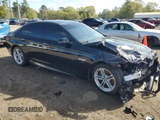 2016 BMW 5 Series 528i with VIN WBA5A5C50GG353554, listed as a Copart auction lot 50220065 with 134,222 mi miles and Salvage Title. Bid and sale history available at carsss.com. Image 4.