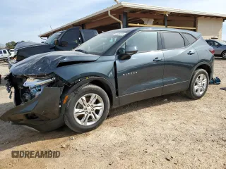 2019 Chevrolet Blazer z VIN 3GNKBBRA8KS570129, wystawiony jako Copart lot #44925075 z przebiegiem 127 339 mil mil oraz Szkody całkowita. Historia ofert i sprzedaży dostępna na DreamBid. Obrazek 1.