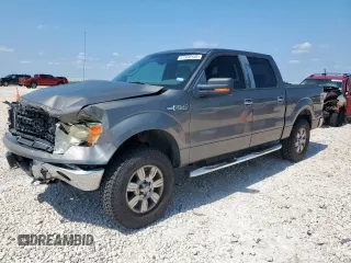 2009 Ford F-150 XL with VIN 1FTRW148X9FA49647, listed as a Copart auction lot 57920105 with 238,773 mi miles and Salvage title. Bid and sale history available at DreamBid. Image 1.