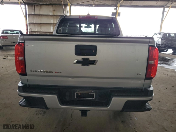2019 Chevrolet Colorado 2WD LT with VIN 1GCGSCEN6K1161478, listed as a Copart auction lot 48339355 with 101,273 mi miles and Salvage Title. Bid and sale history available at carsss.com. Image 6.