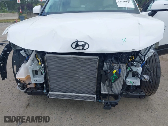 2025 Hyundai Santa Fe Calligraphy with VIN 5NMP5DG12SH017276, listed as a IAAI auction lot 42490129 with 2,089 mi miles and . Bid and sale history available at DreamBid. Image 6.