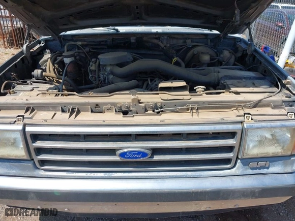 1989 Ford 1/2 Ton Trucks with VIN 1FTDF15N8KNB43830, listed as a IAAI auction lot 41905103 with NaN miles. Bid and sale history available at carsss.com. Image 10.