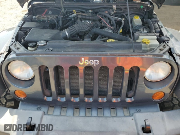 2007 Jeep Wrangler Sahara with VIN 1J8FA54167L208859, listed as a Copart auction lot 62299155 with 263,928 mi miles and Clean title. Bid and sale history available at DreamBid. Image 12.