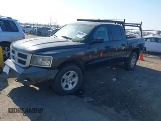 2010 Dodge Dakota Bighorn/Lonestar with VIN 1D7CW3GK1AS155513, listed as a IAAI auction lot 41437670 with 184,199 mi miles. Bid and sale history available at carsss.com. Image 2.