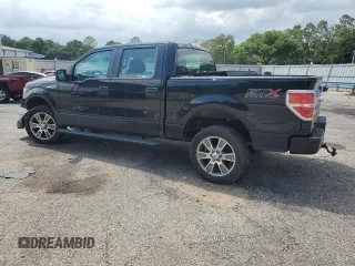 2014 Ford F-150 XL with VIN 1FTFW1EF4EFA38279, listed as a Copart auction lot 53785024 with 162,474 mi miles and Salvage title. Bid and sale history available at DreamBid. Image 2.