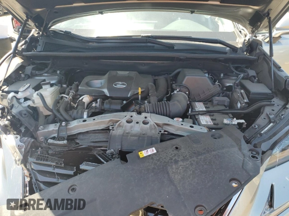 2019 Lexus NX 300 with VIN JTJBARBZ3K2212949, listed as a Copart auction lot 61261645 with 27,432 mi miles and Salvage title. Bid and sale history available at DreamBid. Image 12.
