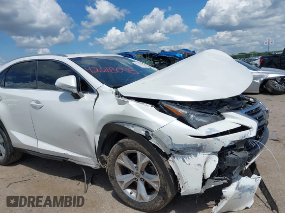 2017 Lexus NX 200t with VIN JTJYARBZ7H2051007, listed as a IAAI auction lot 42218098 with 295,786 mi miles and . Bid and sale history available at DreamBid. Image 6.