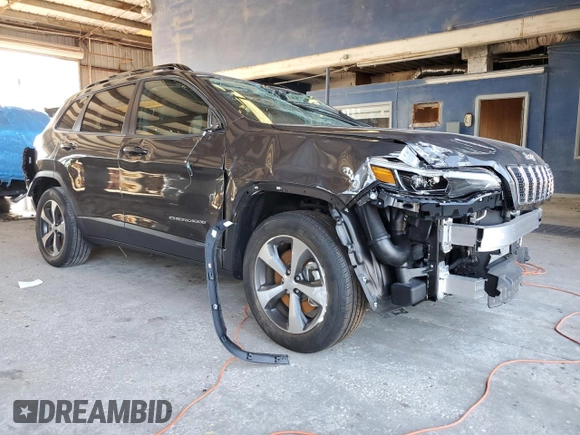 2022 Jeep Cherokee Limited with VIN 1C4PJMDN1ND546203, listed as a Copart auction lot 73985844 with 8,357 mi miles and Salvage title. Bid and sale history available at DreamBid. Image 4.