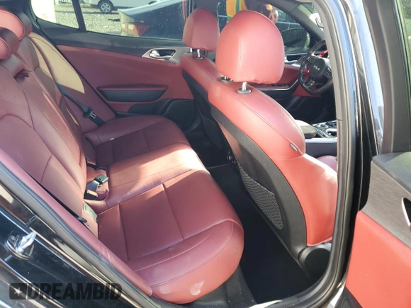 2022 Kia Stinger GT1 with VIN KNAE45LC9N6119485, listed as a Copart auction lot 51492775 with 30,177 mi miles and Clean Title. Bid and sale history available at DreamBid. Image 10.