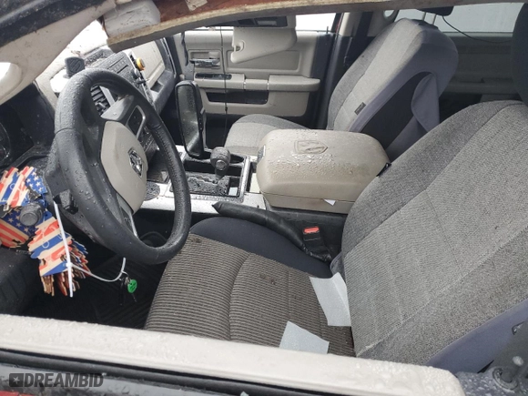 2010 Dodge Ram 1500 SLT with VIN 1D7RV1CT9AS133534, listed as a Copart auction lot 44978955 with 0 mi miles and Salvage Title. Bid and sale history available at carsss.com. Image 7.