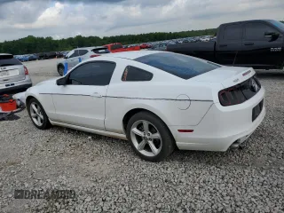 2014 Ford Mustang V6 with VIN 1ZVBP8AMXE5315092, listed as a Copart auction lot 58765755 with 177,060 mi miles and Salvage title. Bid and sale history available at DreamBid. Image 2.