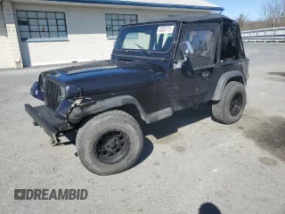1995 Jeep Wrangler S with VIN 1J4FY19P7SP284384, listed as a Copart auction lot 48253775 with 193,429 mi miles and Clean Title. Bid and sale history available at carsss.com. Image 1.