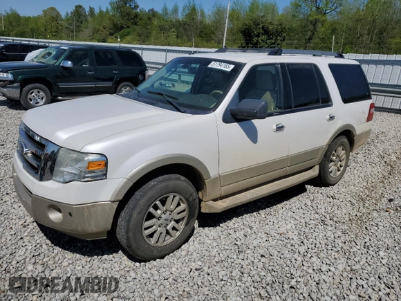 2010 Ford Expedition Eddie Bauer with VIN 1FMJU1H59AEB07563, listed as a Copart auction lot 51794165 with 254,692 mi miles and Salvage title. Bid and sale history available at DreamBid. Image 1.