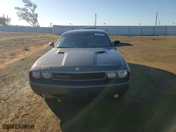 2009 Dodge Challenger SE with VIN 2B3LJ44V69H641073, listed as a Copart auction lot 81089774 with 173,632 mi miles and Salvage Title. Bid and sale history available at carsss.com. Image 11.