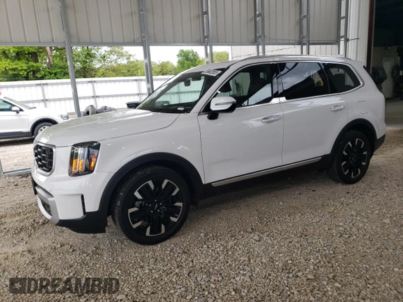 2024 Kia Telluride SX Prestige X-Pro with VIN 5XYP5DGC8RG431636, listed as a Copart auction lot 55682855 with 14,114 mi miles and Salvage title. Bid and sale history available at DreamBid. Image 1.