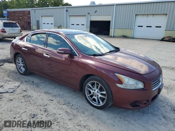 2009 Nissan Maxima SV with VIN 1N4AA51E69C820089, listed as a Copart auction lot 66046043 with 243,382 mi miles and Non Repairable. Bid and sale history available at DreamBid. Image 4.