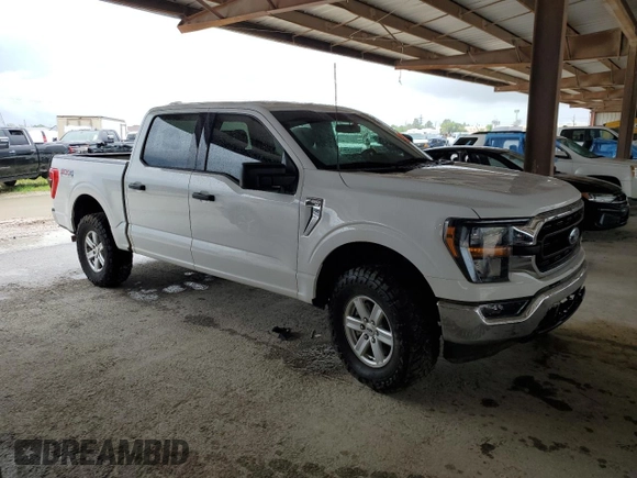 2023 Ford F-150 XL with VIN 1FTFW1E59PKE35312, listed as a Copart auction lot 50796195 with 19,849 mi miles and Salvage Title. Bid and sale history available at carsss.com. Image 4.