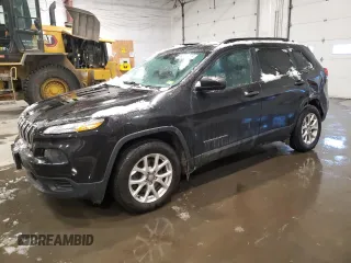 2016 Jeep Cherokee Sport with VIN 1C4PJMAB2GW164506, listed as a Copart auction lot 44958755 with 124,483 mi miles and Salvage Title. Bid and sale history available at carsss.com. Image 1.