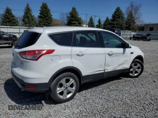 2013 Ford Escape SE with VIN 1FMCU9G93DUD03410, listed as a Copart auction lot 53988065 with 99,550 mi miles and Salvage Title. Bid and sale history available at carsss.com. Image 3.