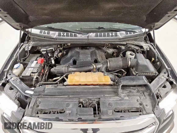 2017 Ford F-150 XL with VIN 1FTEW1EG4HKE35894, listed as a Copart auction lot 61594075 with 165,686 mi miles and Clean title. Bid and sale history available at DreamBid. Image 11.