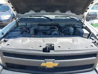 2013 Chevrolet Silverado 1500 Work Truck with VIN 1GCNCPEX1DZ111234, listed as a IAAI auction lot 42147597 with 259,207 mi miles and . Bid and sale history available at DreamBid. Image 10.