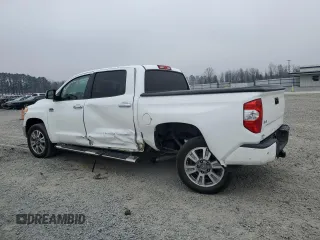 2017 Toyota Tundra Platinum with VIN 5TFAW5F14HX625312, listed as a Copart auction lot 46787695 with 261,194 mi miles and Salvage title. Bid and sale history available at DreamBid. Image 2.