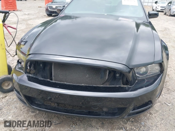 2014 Ford Mustang V6 with VIN 1ZVBP8AM3E5244110, listed as a IAAI auction lot 42383221 with 102,625 mi miles and . Bid and sale history available at DreamBid. Image 6.